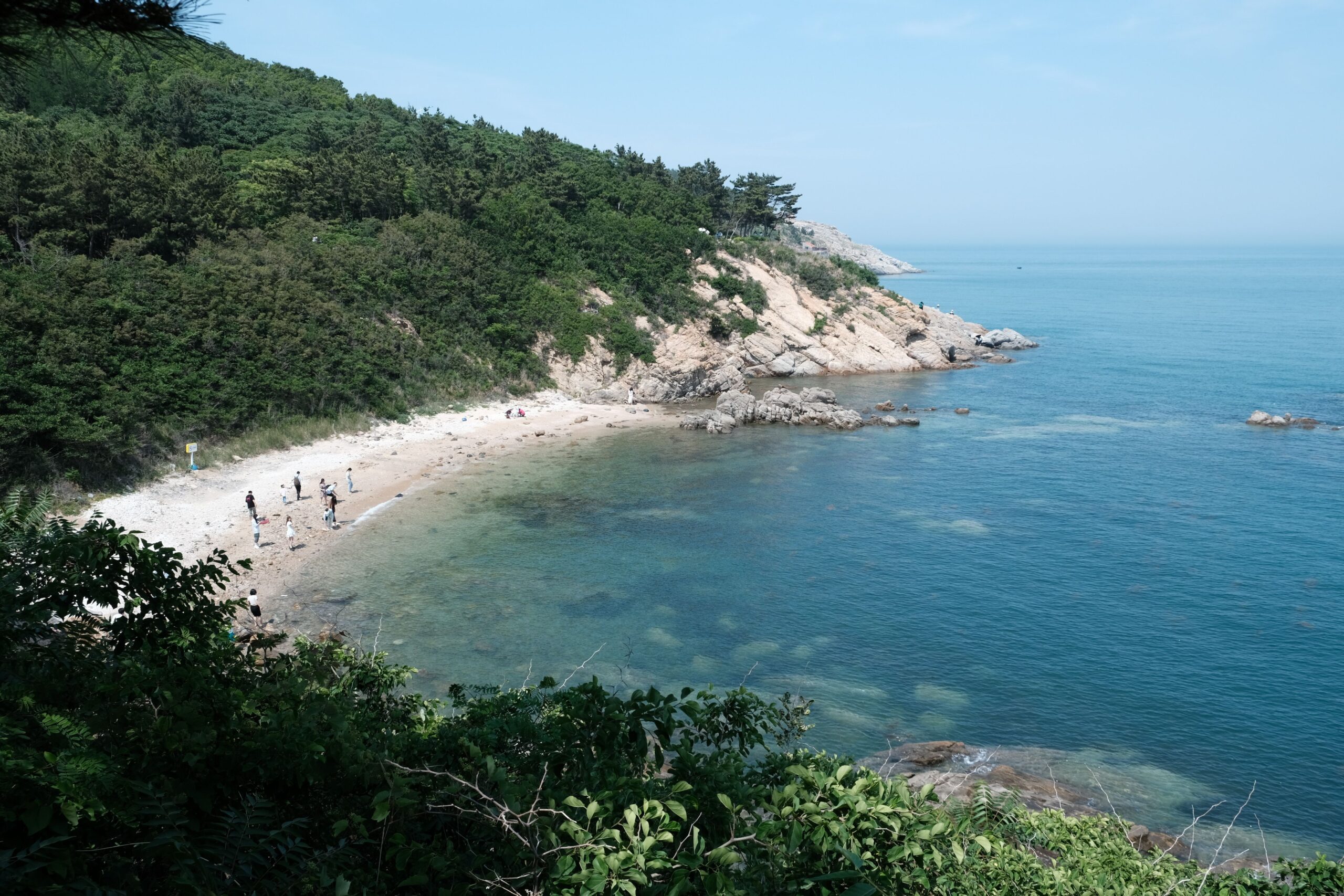 새살침 피부과 한의원